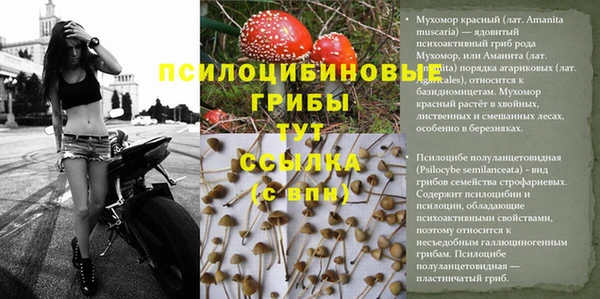 эйфоретик Абаза