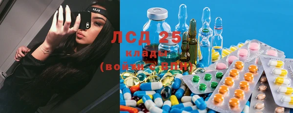 ПСИЛОЦИБИНОВЫЕ ГРИБЫ Алексин