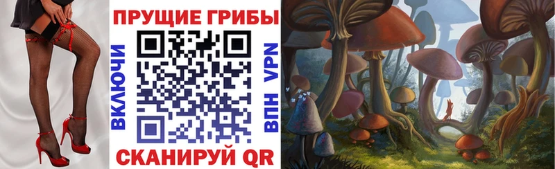 Псилоцибиновые грибы GOLDEN TEACHER  Краснозаводск 